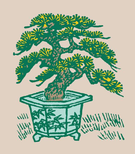 bonsai fa - bonszai témájú stock illusztrációk