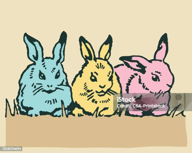 Three Rabbits Stock Illustration - Download Image Now - Animal, Animal ...
