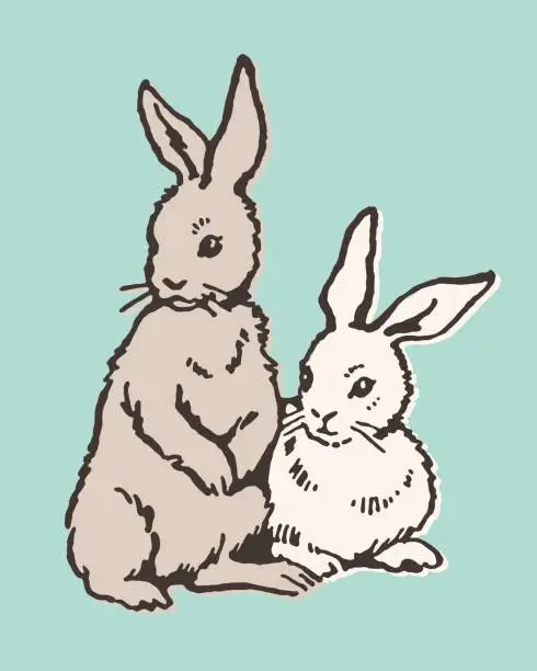 Vector illustration of Two Rabbits