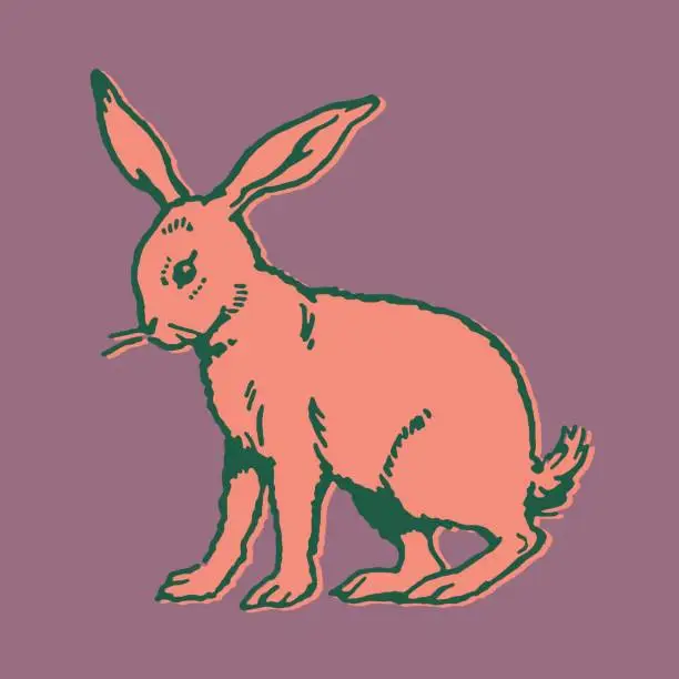 Vector illustration of Rabbit