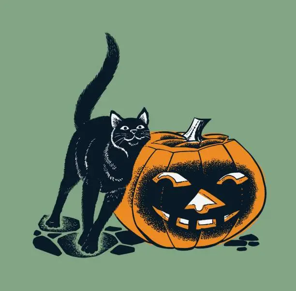 Vector illustration of Black Cat and Carved Pumpkin