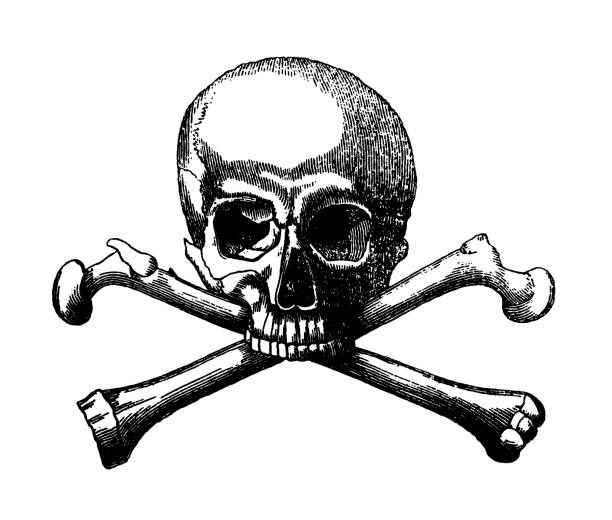 두개골과 십자가 뼈 - skull and crossbones toxic substance halloween human bone stock illustrations