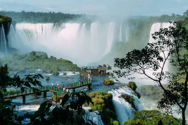 pessoas andando pelas passarelas do rio iguaçu - iguacu national park - fotografias e filmes do acervo