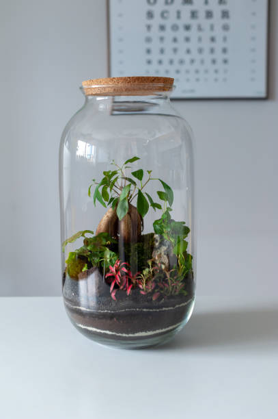 istock Beautiful jar with live forest with self ecosystem, terrarium, forest in a jar 1328217452