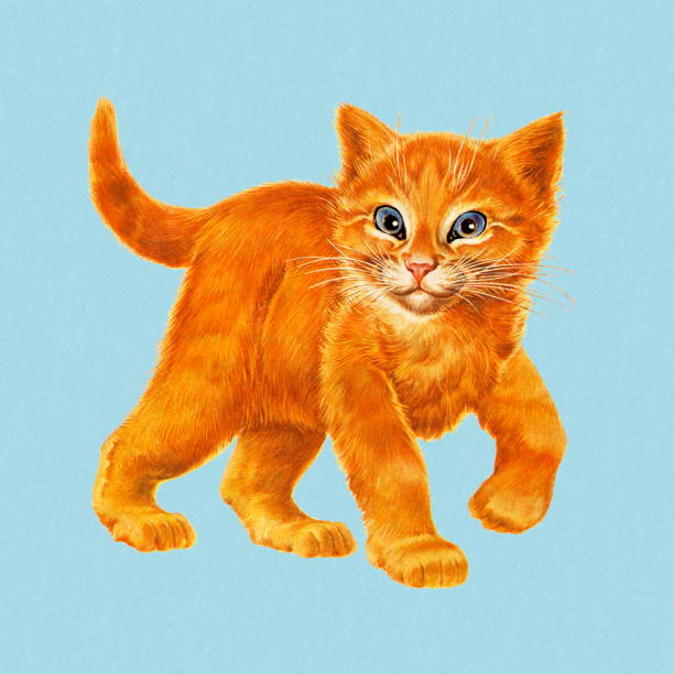 Cat Struting Stff Cat Strutting