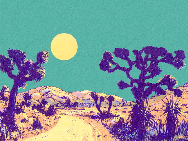 illustrazioni stock, clip art, cartoni animati e icone di tendenza di joshua trees e paesaggio di formazione rocciosa - desert