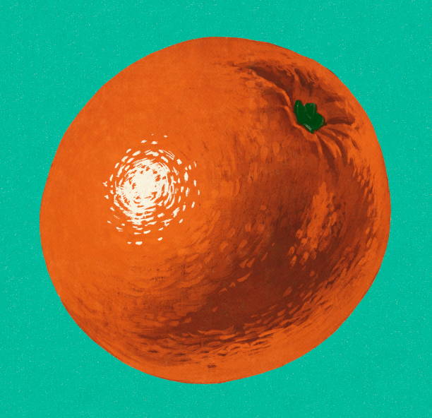 Orange vector art illustration