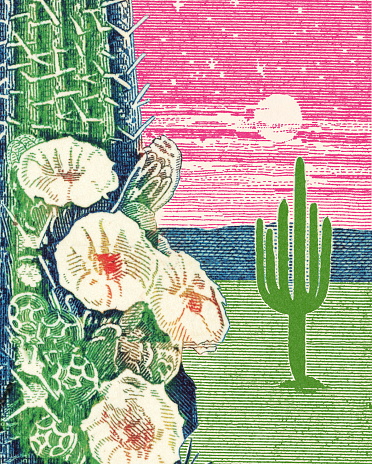 Cactus Desert Scene