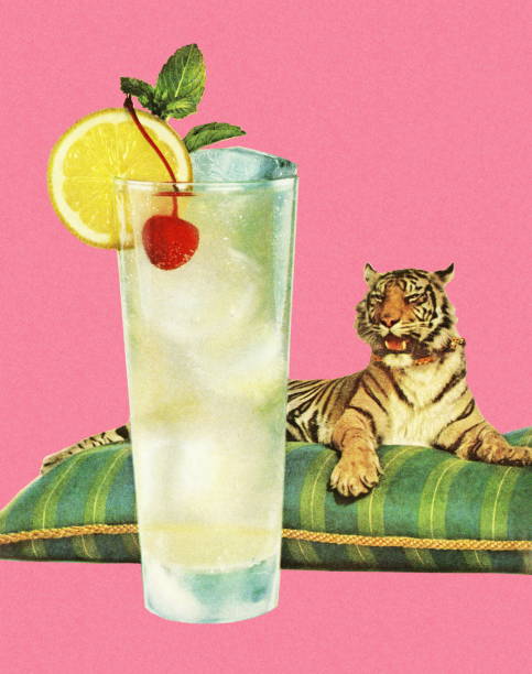 Refreshing Beverage and a Tiger on a Pillow Refreshing Beverage and a Tiger on a Pillow pink background illustrations stock illustrations