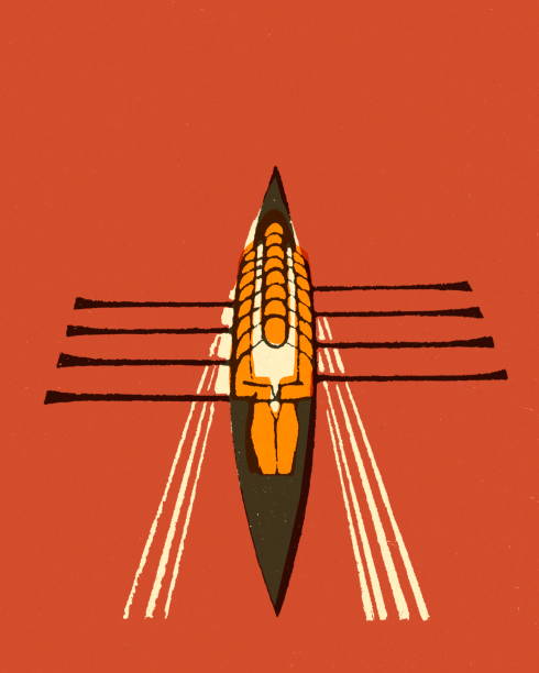 гребная команда - rowing rowboat sport rowing oar stock illustrations