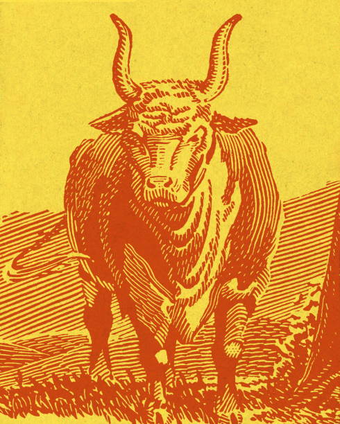 illustrazioni stock, clip art, cartoni animati e icone di tendenza di toro - ox cart