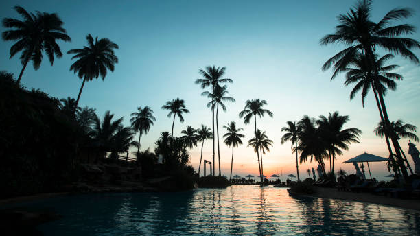 istock View of tropical palm beach during beautiful sky twilight. 1328232333