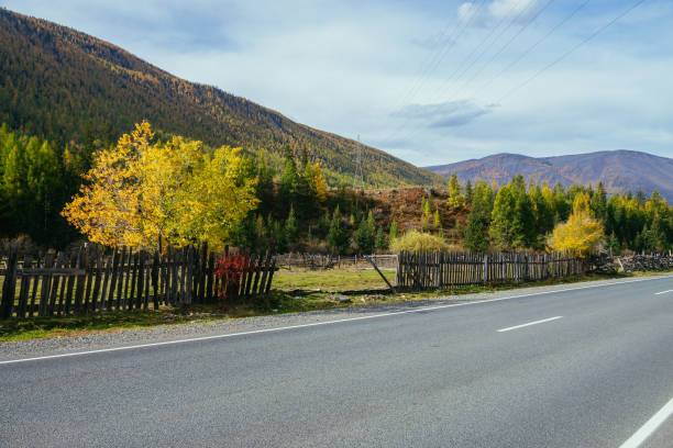 kolorowy jesienny krajobraz z wielokolorowymi drzewami w słońcu w pobliżu górskiej autostrady. malownicza alpejska sceneria z górską drogą i motley drzewami w jesiennych kolorach. autostrada w górach w czasie upadku. - footpath european alps fence woods zdjęcia i obrazy z banku zdjęć