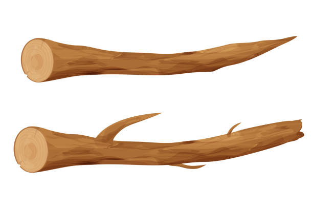 흰색 배경에 고립 된 만화 스타일의 나무 스틱, 나무 나뭇 가지, 부분 또는 조각. 포리스트 요소입니다. ui 자산, 장식. 벡터 일러스트레이션 - computer graphic image stick tree trunk stock illustrations