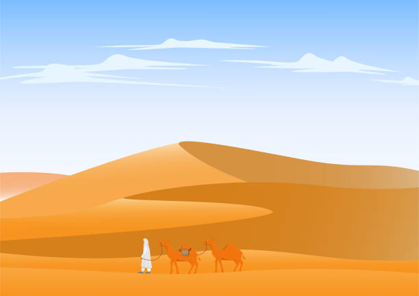 kamel durchquert wüstenlandschaft - karawane stock-grafiken, -clipart, -cartoons und -symbole