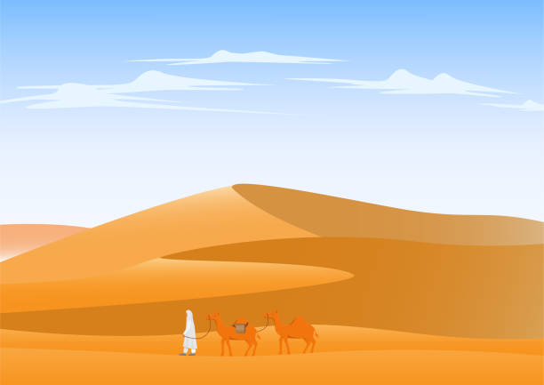 Camel crossing desert landscape Camel crossing desert landscape background camel train stock illustrations