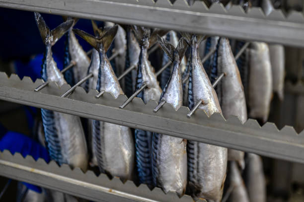 istock Mackerel hangs in a special metal container. The fish is prepared for the smoking process 1328244594