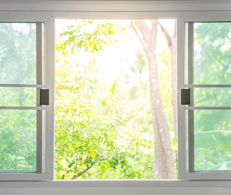 White window open with natural blurred background and sunlight