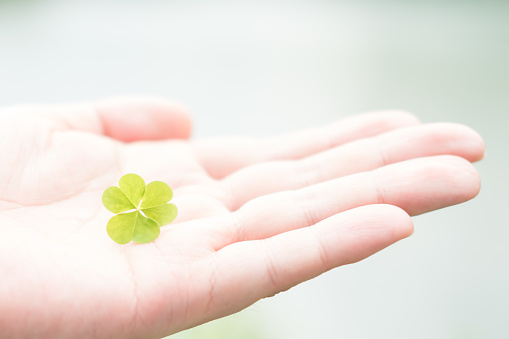 St. Patrick's day composition with clover leaf and horseshoe on green background. View from above. Copy space.