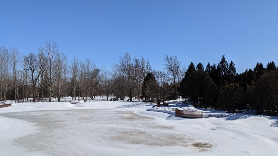 View of the pond of the arboretum of the Montreal Botanical Garden in winter.