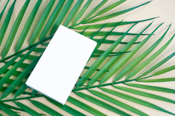 istock Business Card Mock-up 1328245464