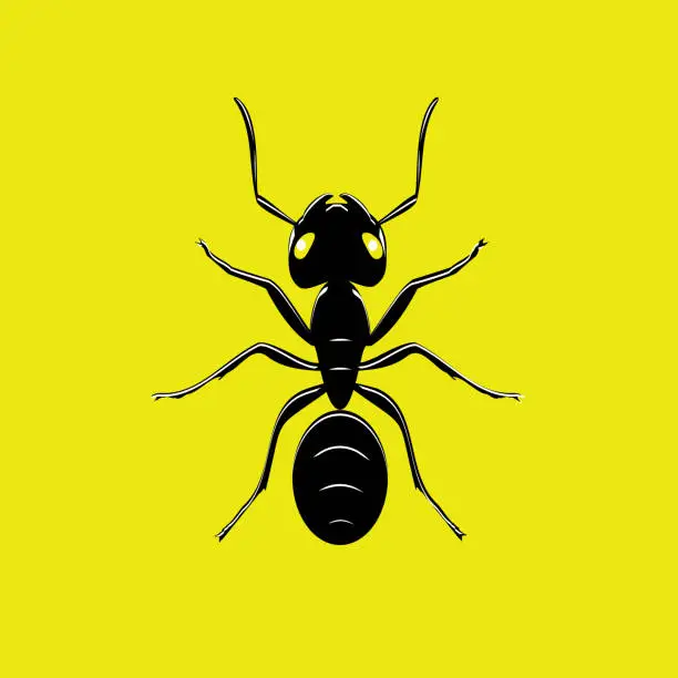 Vector illustration of top view of black ant with white highlights on yellow background