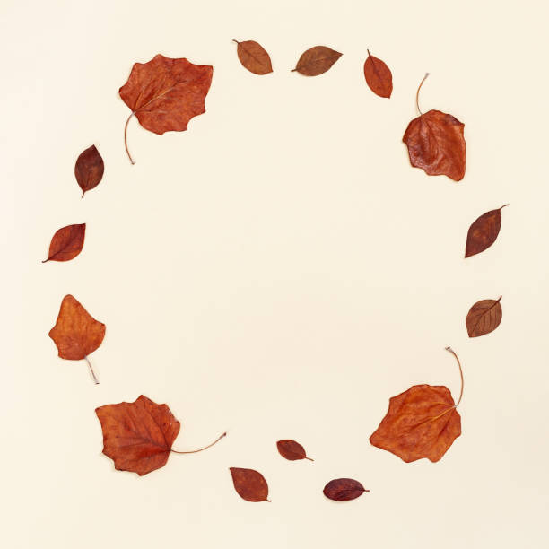 istock Autumn leaves layout on neutral beige background with copy space. Natural frame from dry leaf in autumn season, fall season concept. 1328253892