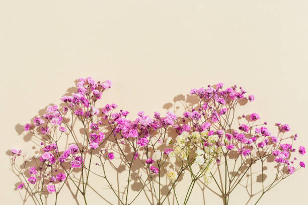 istock Small pink flowes on beige colored paper. Floral background. Minimal style aesthetic image with neutral color 1328254653