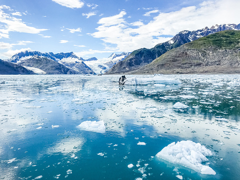 A stunning view is played out in South Central Alaska. Glacial waters and rising mountains create scenic beauty. The frigid waters of Prince William Sound, near Valdez, Alaska  creates a surreal view of Alaska.