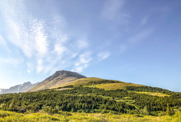 flat top - montagnes d’anchorage, alaska - flattop mountain photos et images de collection