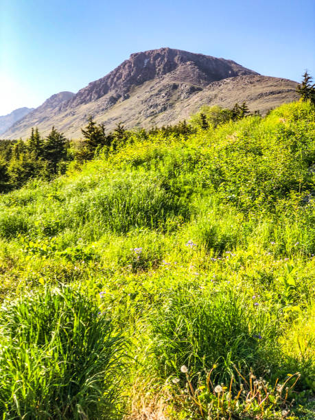 flat top - góry anchorage, alaska - flattop mountain zdjęcia i obrazy z banku zdjęć