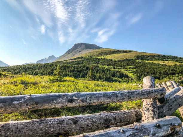 flat top - montanhas de anchorage, alasca - chugach mountains - fotografias e filmes do acervo