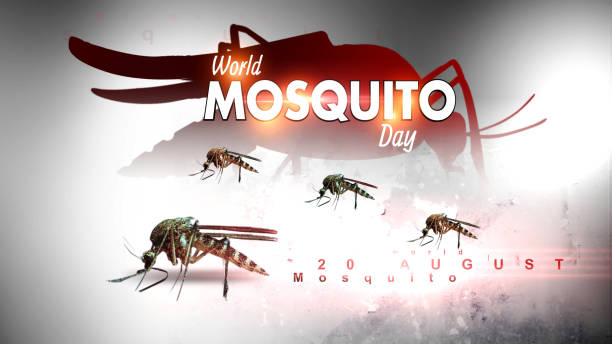 World Mosquito Day 20 August stock photo