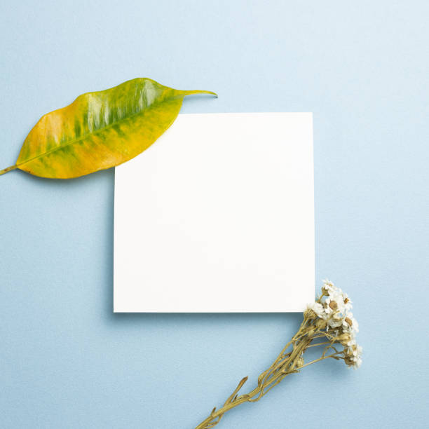 istock White memo pad with dry flowers on blue background. top view, copy space 1328264986