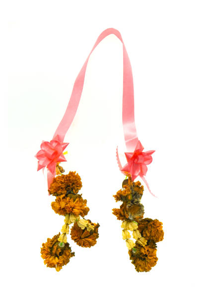Worship garland. Withered.isolated on white background.