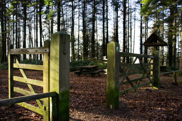 istock wooden fence 1328272094