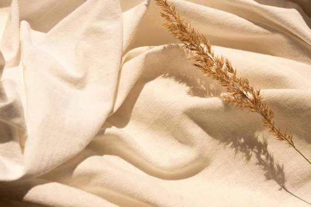 istock natural dried reed flowers on textured white linen textile material. flat lay background with dried flower arrangement. Organic design. Pastel colors. 1328275552