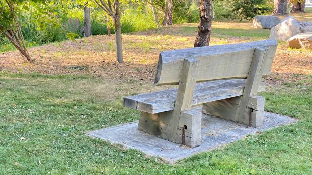 istock Old bench park outdoor trees wood 1328275639