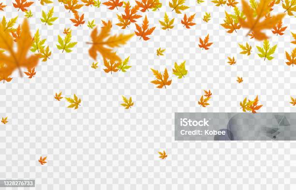 Vector Leaf Fall On An Isolated Transparent Background Autumn The Leaves Are Falling From The Trees - Arte vetorial de stock e mais imagens de Outono