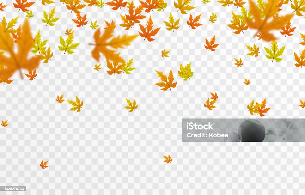 Vector leaf fall on an isolated transparent background. Autumn, the leaves are falling from the trees. - Royaltyfri Höst vektorgrafik