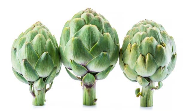 istock Artichoke flower edible buds on white background. 1328277852