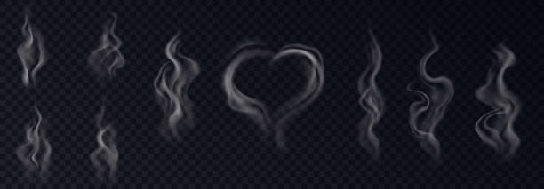 ilustrações de stock, clip art, desenhos animados e ícones de steam smoke realistic set with heart and swirl shaped white vapor on black transparent background - smoke