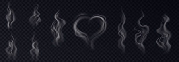 Steam smoke realistic set with heart and swirl shaped white vapor on black transparent background vector art illustration