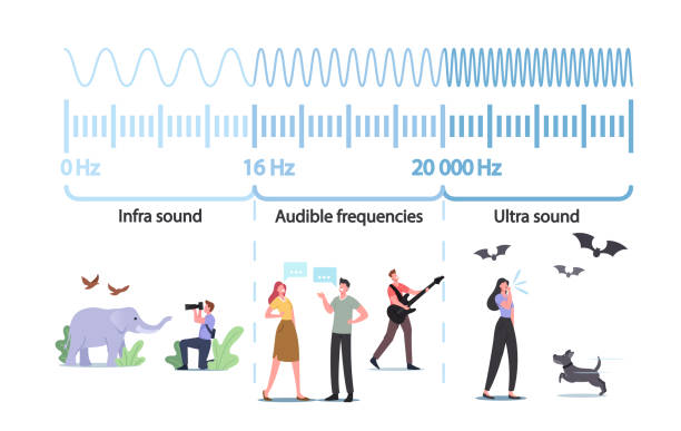 illustrazioni stock, clip art, cartoni animati e icone di tendenza di piccoli personaggi di enormi infografiche che presentano ampiezza e intonazione delle onde sonore. combinazione audio silenziosa o rumorosa - high frequencies