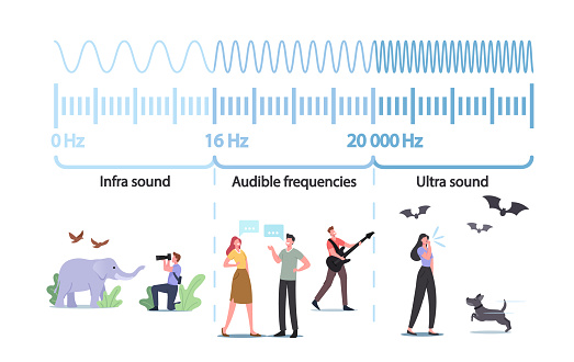 Tiny Characters at Huge Infographics Presenting Sound Waves Amplitude and Pitch. Quiet or Loud Sound Scheme. Compared Low or High Frequency Impact on Tune Resonance. Cartoon People Vector Illustration