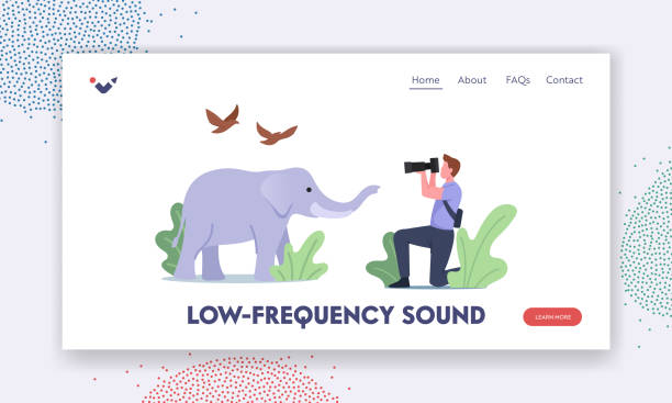 istock Low-frequency Infra Sound Waves Landing Page Template. Photographer Character Shoot Elephant and Birds 1328278496
