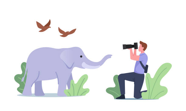 istock Photographer Character Shoot Elephant and Birds Making Low-frequency Infra Sound Waves with Frequency 1328278498