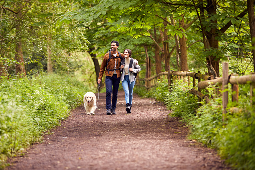 Couple With Pet Golden Retriever Dog Hiking Along Path Through Trees In Countryside