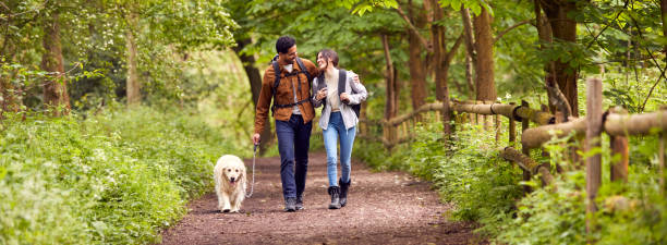 pareja con perro golden retriever mascota senderismo a lo largo del camino a través de los árboles en el campo - footpath hiking walking exercising fotografías e imágenes de stock