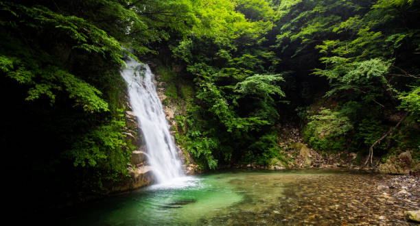 istock A pristine natural waterfall in the mountains. 1328287501